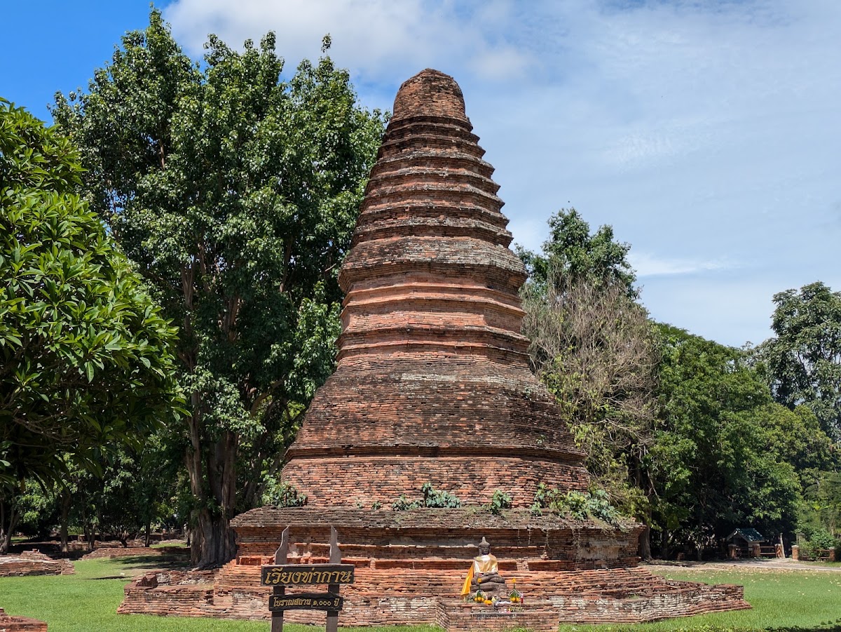 ไร่ข้าวนางัว เวียงท่ากาน อ.สันป่าตอง — Paul Atkins