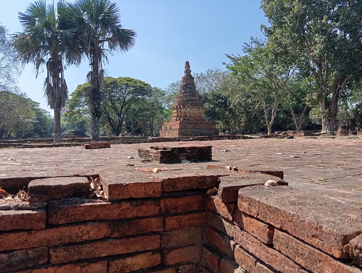 ไร่ข้าวนางัว เวียงท่ากาน อ.สันป่าตอง — Jutamart Manowong