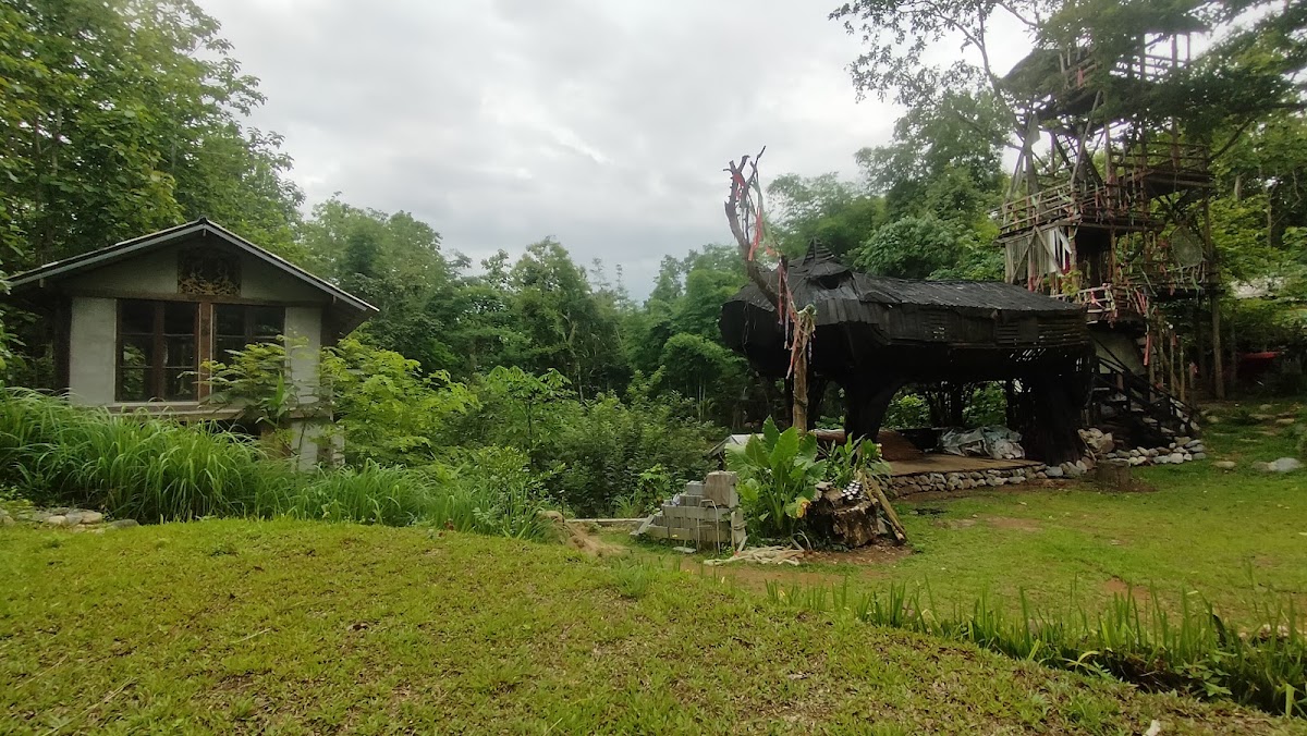 เสือดำ อาร์ตแค้มป์ Tiger Jungle art camp — เสือดำ อาร์ตแค้มป์ Tiger Jungle