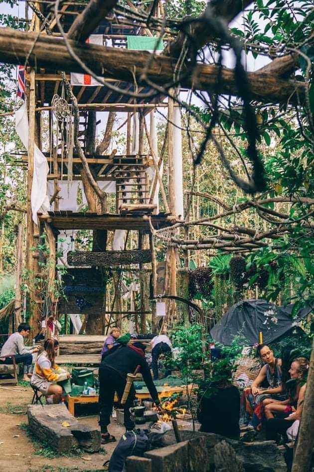 เสือดำ อาร์ตแค้มป์ Tiger Jungle art camp — เสือดำ อาร์ตแค้มป์ Tiger Jungle