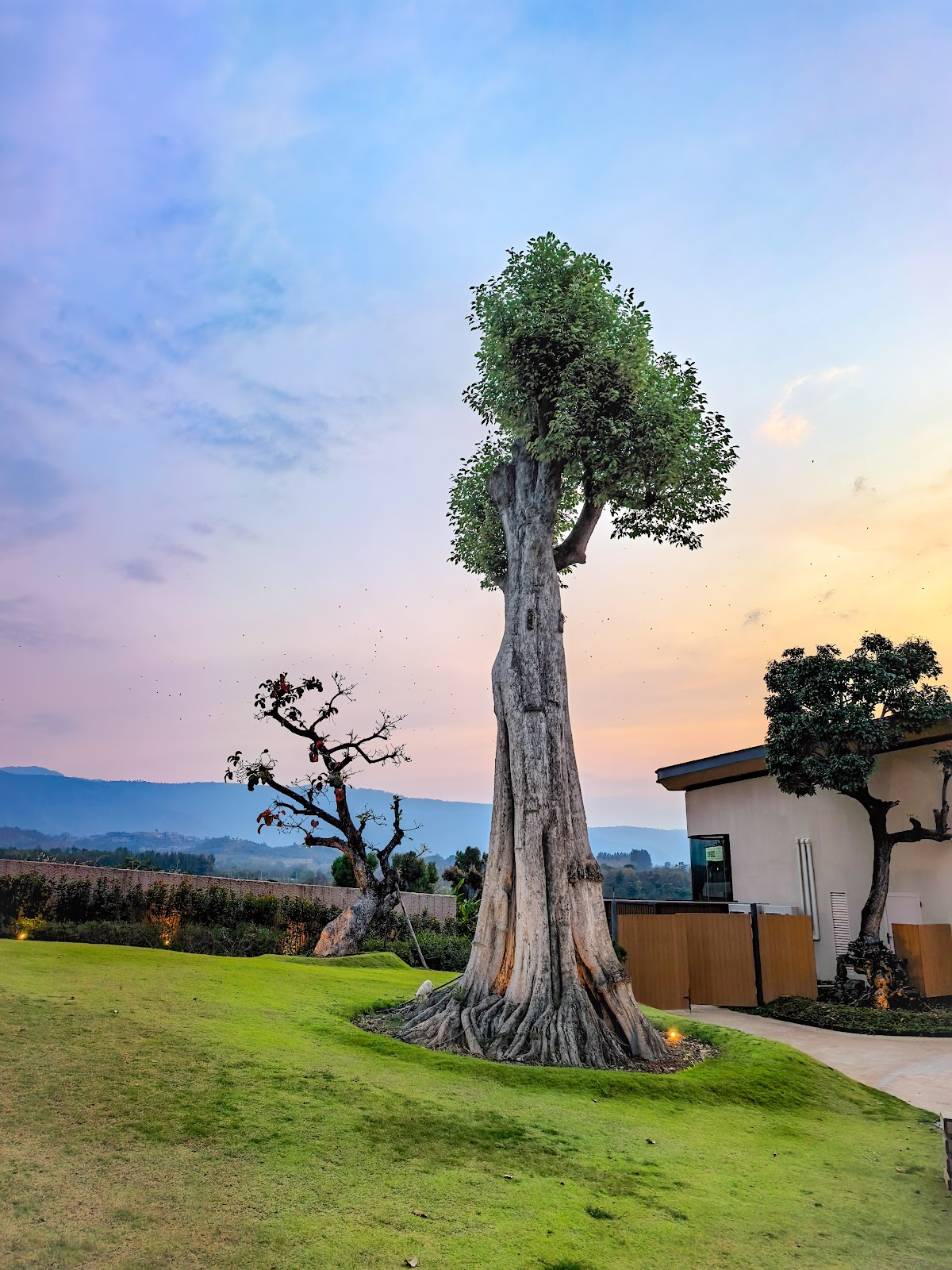 Summerwoods Khaoyai — B. Thanathit